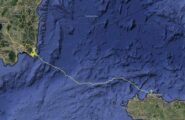 Traversata da record per un grifone sardo: in 9 ore è arrivato in Sicilia percorrendo 373 km