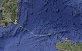 Traversata da record per un grifone sardo: in 9 ore è arrivato in Sicilia percorrendo 373 km