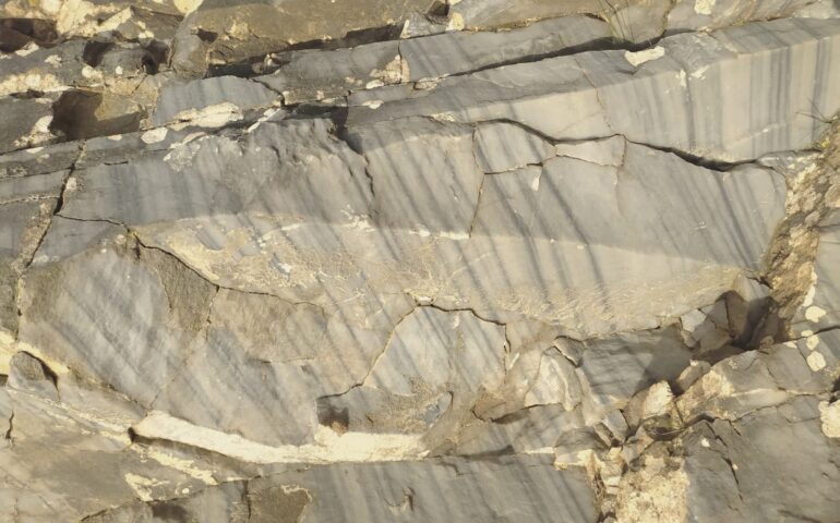 In un paese sardo si trova ancora del vero marmo, in una cava con calcari di 400 milioni di anni fa