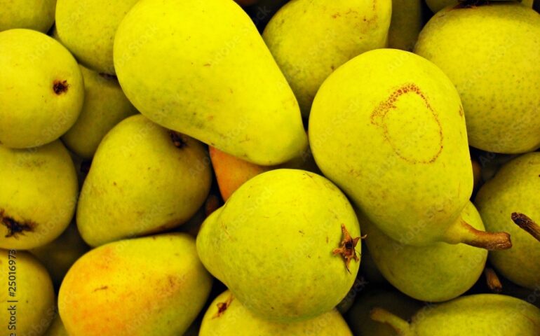 Conoscete la “pira limoi”? Si tratta di uno dei Prodotti Agroalimentari Tradizionali della Sardegna