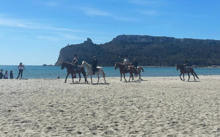 Una passeggiata a cavallo al Poetto sotto al bel sole d’aprile