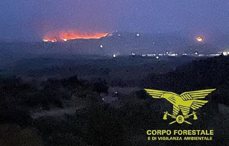 Notte di fuoco a Guasila: incendio devasta le campagne, mezzi aerei in azione