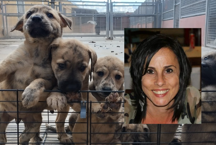 Anzichè fiori, una donazione di quasi 400 euro per i cani abbandonati: il pensiero degli amici di Monica Frau