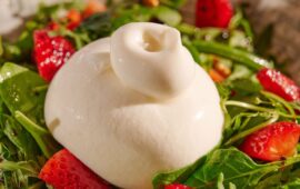 mozzarella obica