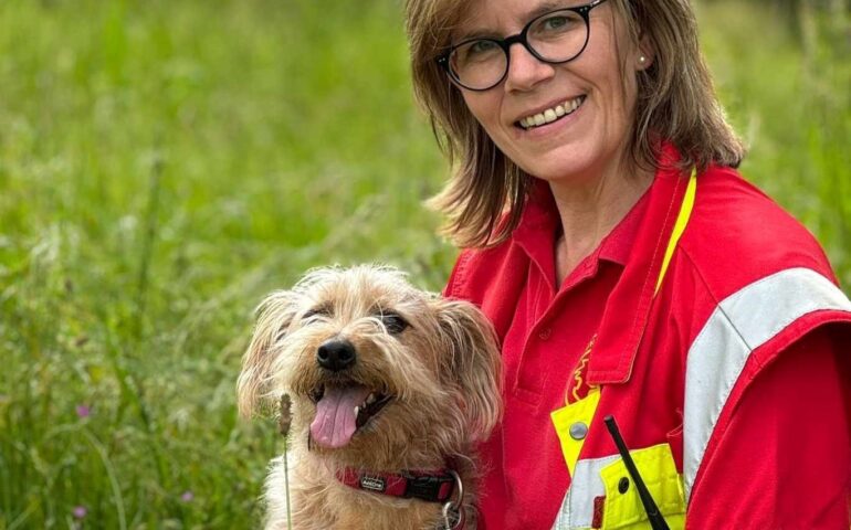 La storia di Egidio, oggi cane molecolare: abbandonato in Sardegna, è stato adottato in Germania