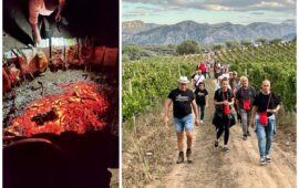 Uno dei momenti del Cannonau Experience