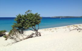 Le magnifiche dune di Porto PIno