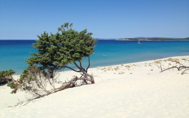 Le magnifiche dune di Porto PIno
