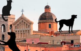 visita guidata del quartiere Castello con i cani
