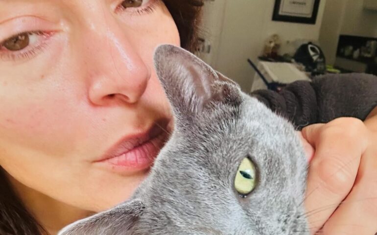 Caterina Murino adotta un altro gatto randagio sardo: “Benvenuta Piccola Selené”