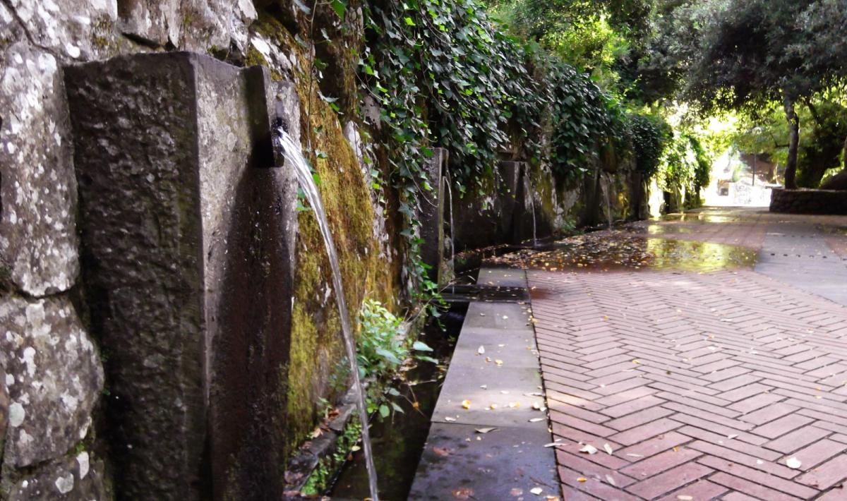 San Leonardo di Siete Fuentes