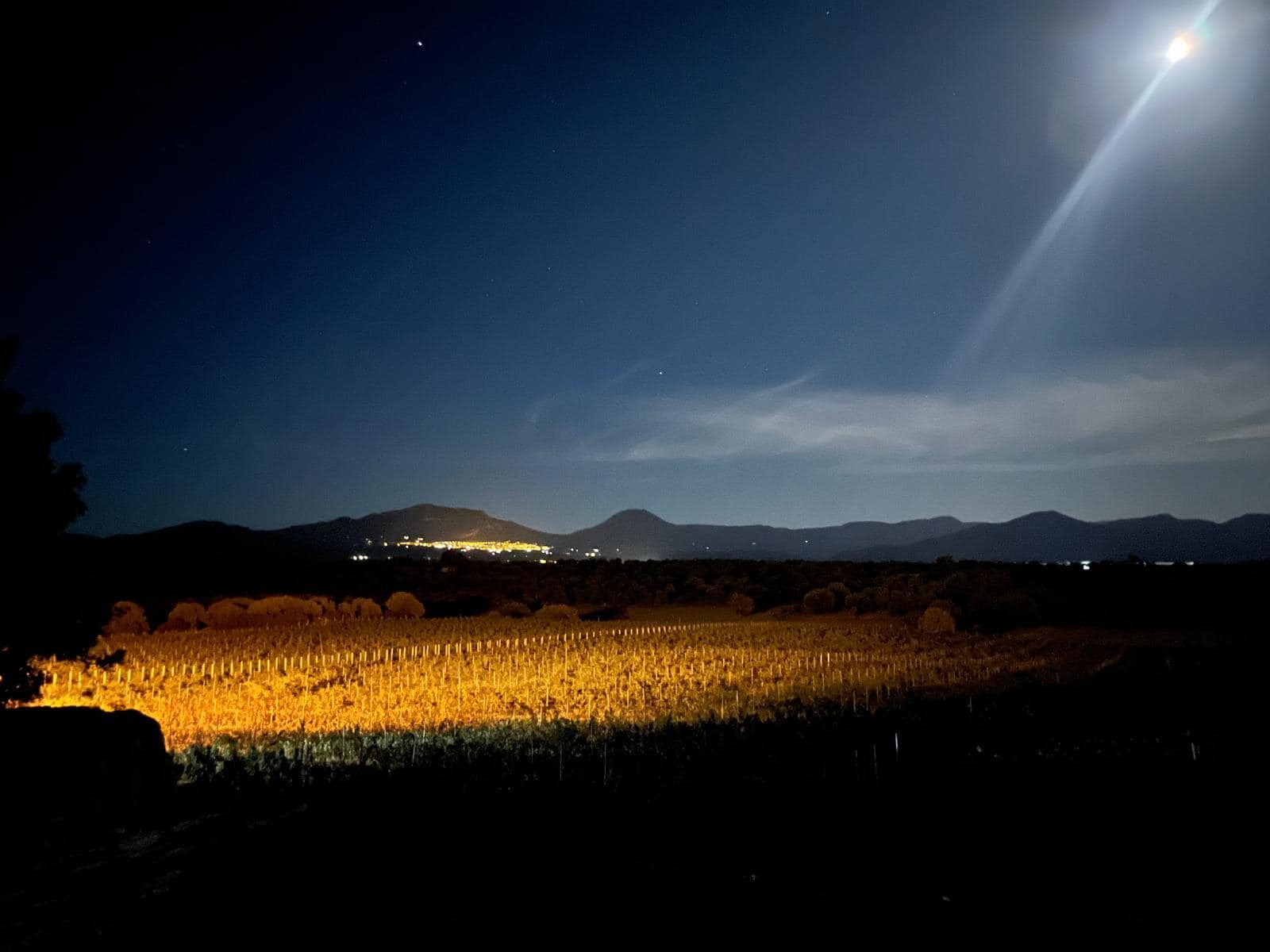 Le luci notturne al Cannonau Experience