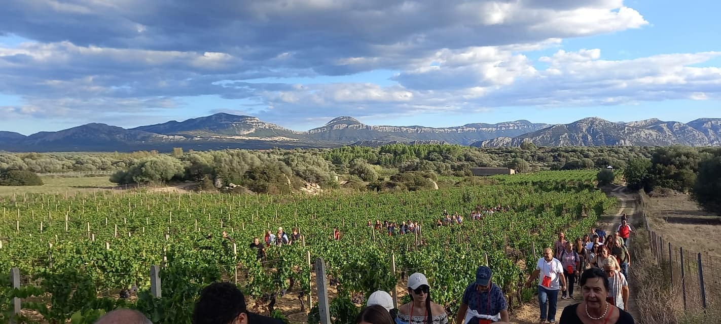 A spasso per le vigne di Dorgali