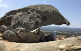 Il fungo, simbolo di Arzachena