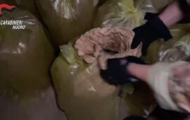 I sacchi con l'erba (Foto frame video Carabinieri Nuoro)
