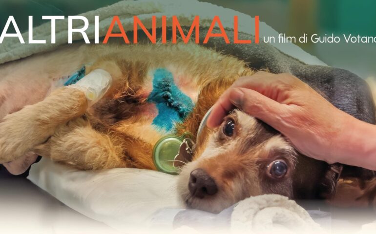 film sulla clinica veterinaria duemari di Oristano