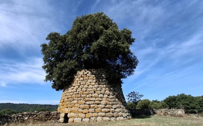 Il nuraghe con il boschetto dentro