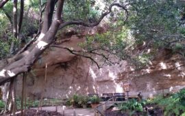 Un angolo suggestivo dell'orto botanico