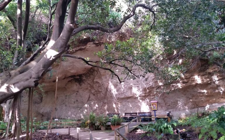 Un angolo suggestivo dell'orto botanico