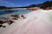 Violato il paradiso: sei turisti multati sulla spiaggia rosa di Budelli