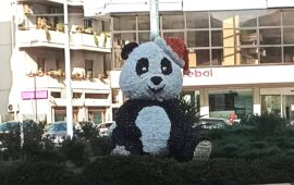 panda natalizio a quartu 2