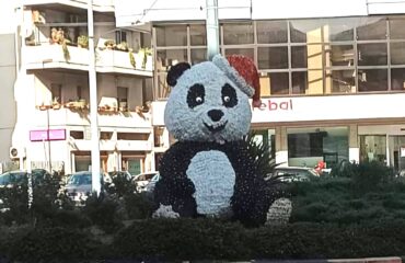 panda natalizio a quartu 2
