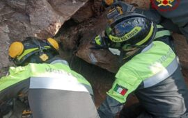 Cane in un anfratto: i Vigili del Fuoco provano a salvarlo