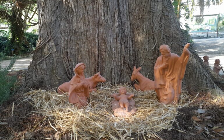 PRESEPE all'orto botanico di cagliari