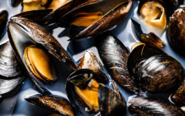 cozze