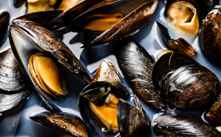 cozze