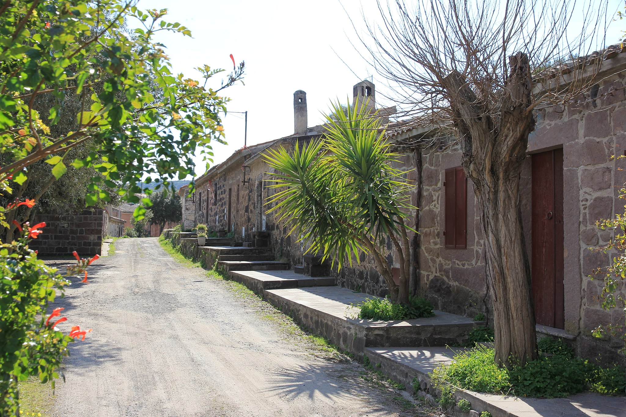 Ghilarza, chiesa di San Serafino