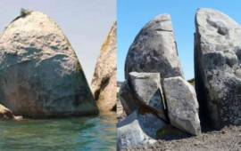 roccia sarda e della nuova zelanda
