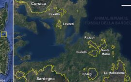 sardegna e corsica