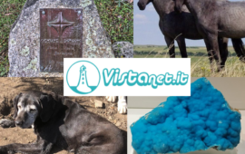 vistanet