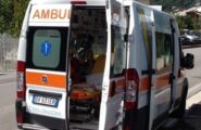 Santu Lussurgiu, attimi di paura nelle campagne: allevatore travolto da un vitello, è in gravi condizioni
