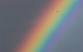 arcobaleno a cagliari