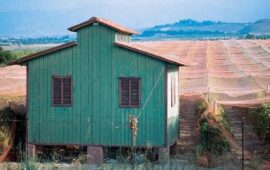 casotto del poetto a cagliari