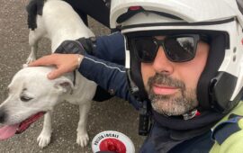 Cagliari, una storia a lieto a Is Mirrionis: recuperato un pitbull smarrito dalla Polizia Municipale