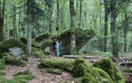 forest bathing
