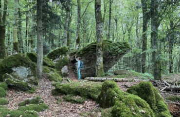 forest bathing