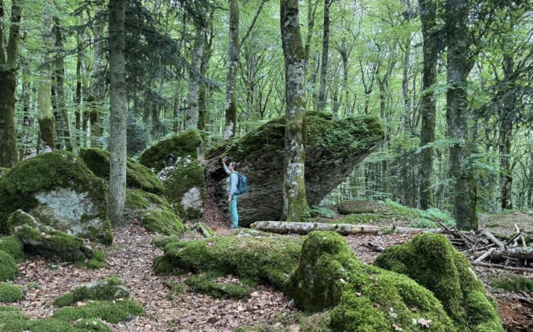 forest bathing
