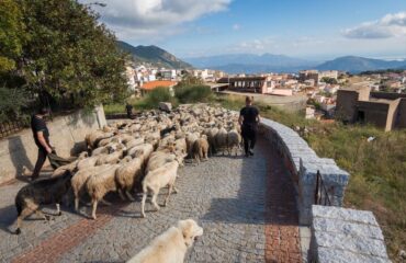 Progetto Transumanza pH Fabrizio Piroddi