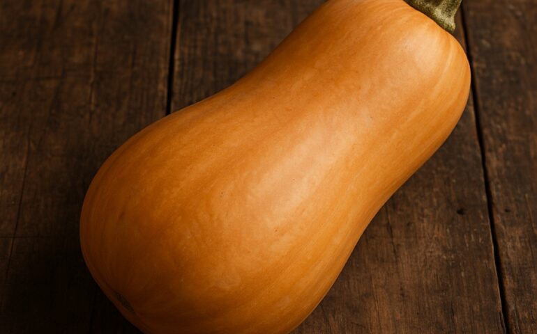 Una zucca