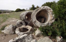 La foresta pietrificata di Martis