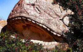In Sardegna esiste la roccia-balena: sapete dove si trova?