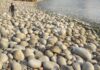 Capo Pecora, la Spiaggia Delle uova di dinosauro