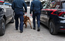 Cagliari, sbarca dalla nave con un chilo di coca nel bagnoschiuma: scoperto dai cani