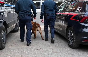 Cani antidroga dei carabinieri