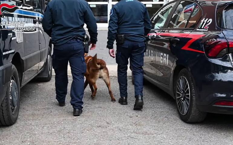 Cani antidroga dei carabinieri