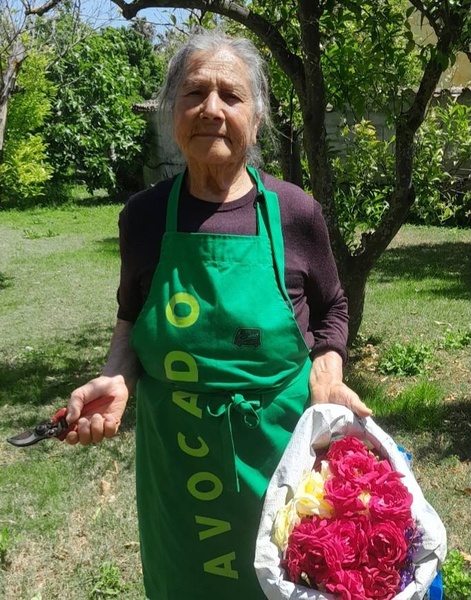 fiori del giardino di lu